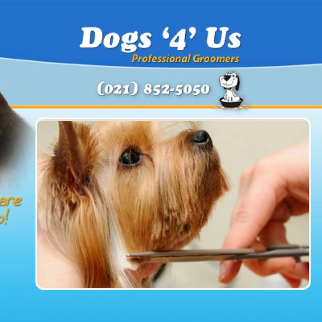 Dogs 4 Us